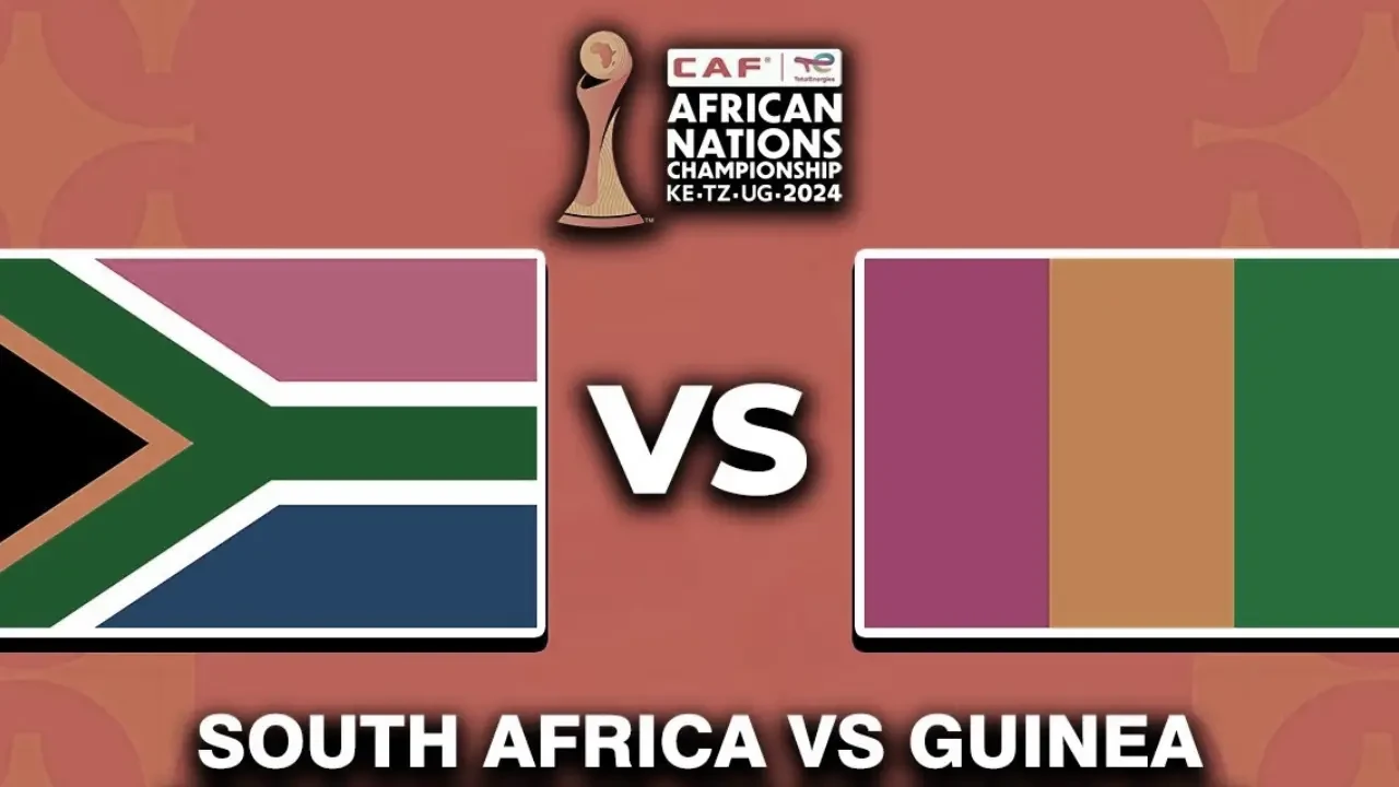 South Africa vs Guinea image